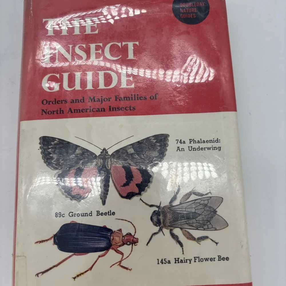 The Insect Guide by Ralph B Swain VTG 1948 Hardcover Dust Jacket Good Condition